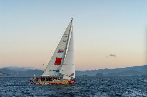 海上茶葉縱貫線 陸路國際貨運代理業(yè)務(wù)的戰(zhàn)略支點與時代新章