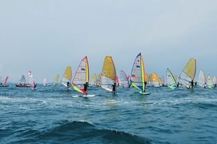 海上揚帆，陸路通達 國際貨運代理業務的雙重變奏