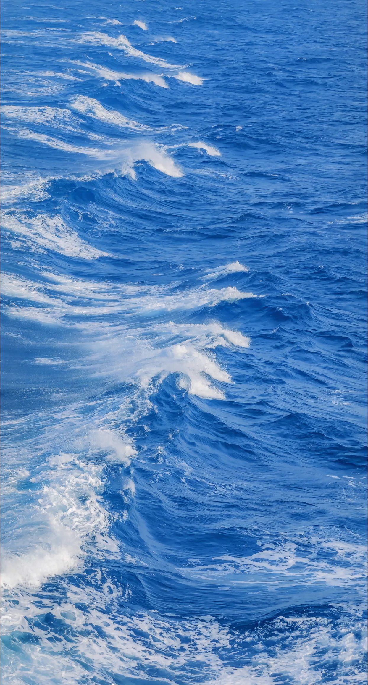 海上漂，心飛揚——探索陸路國際貨運代理業務的獨特魅力