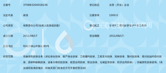 鄒城市潤通非融資性擔(dān)保及其業(yè)務(wù)解析